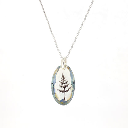 Fern (fern001)