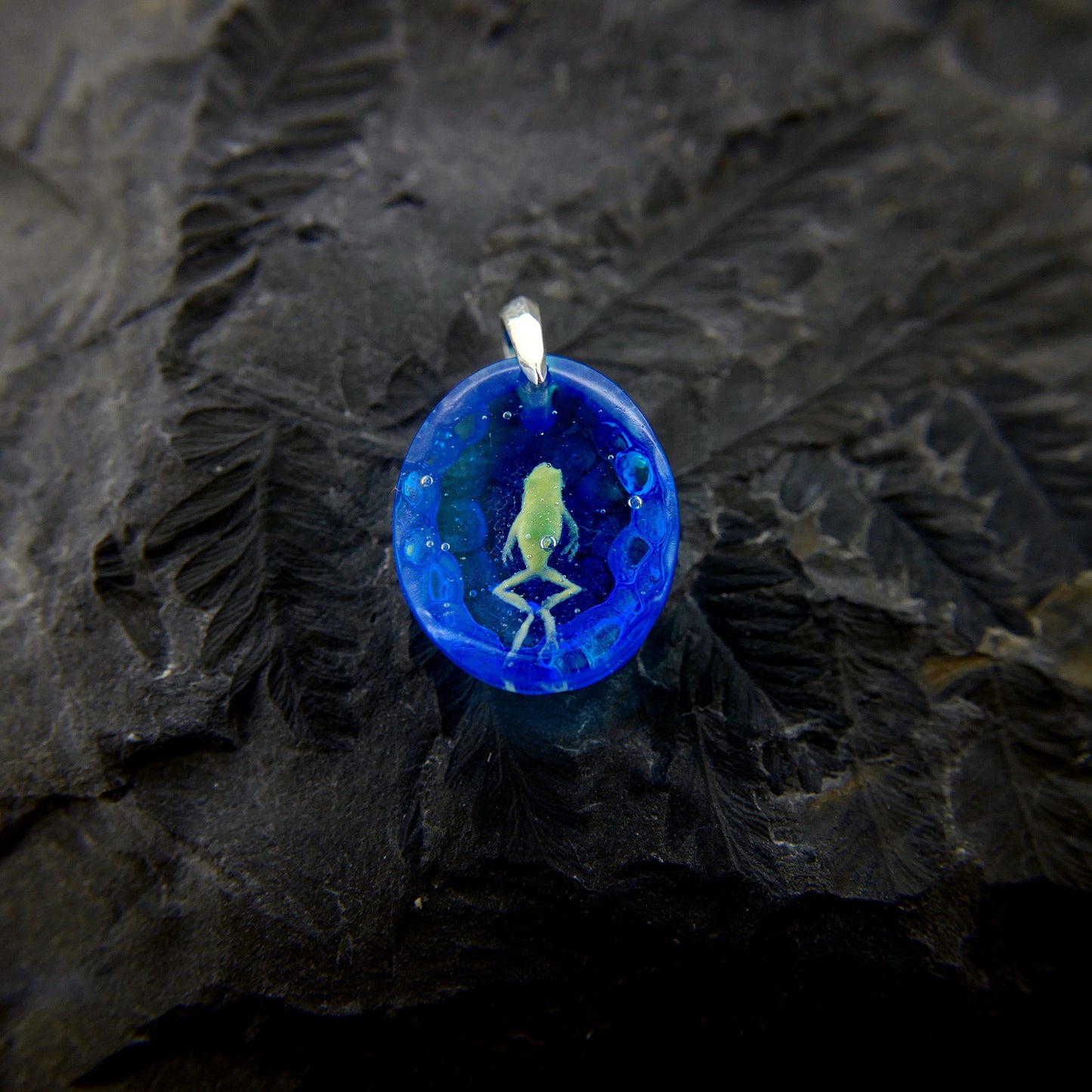 Japanese tree frog (frog039)