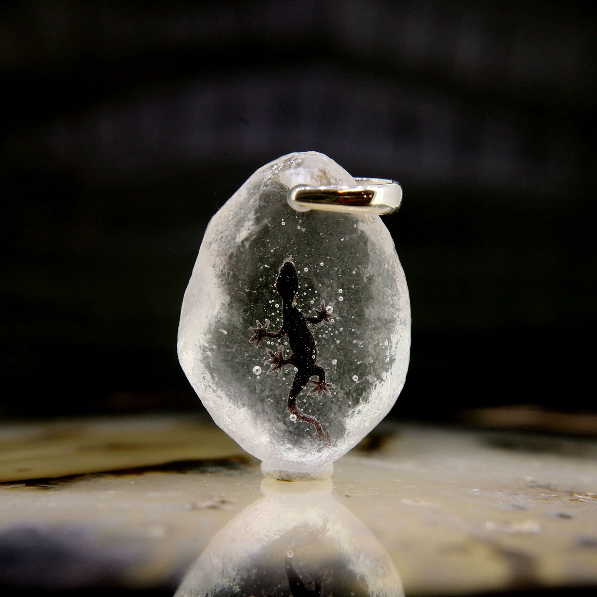 ニホンヤモリ（gecko021）