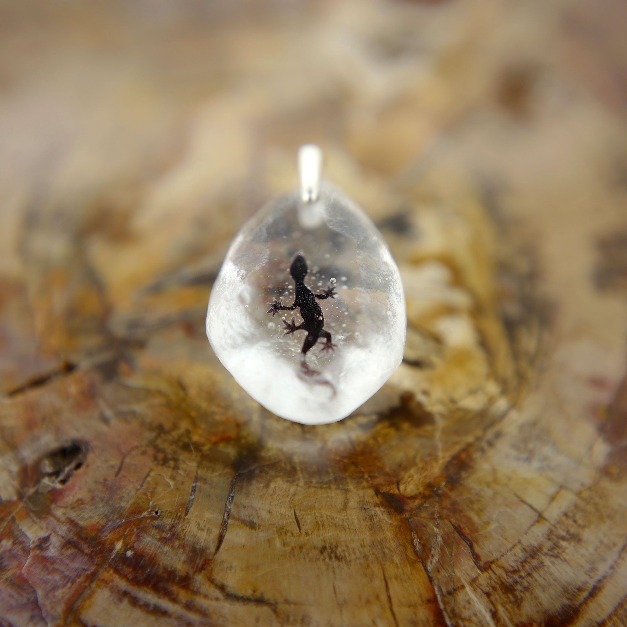 ニホンヤモリ（gecko021）