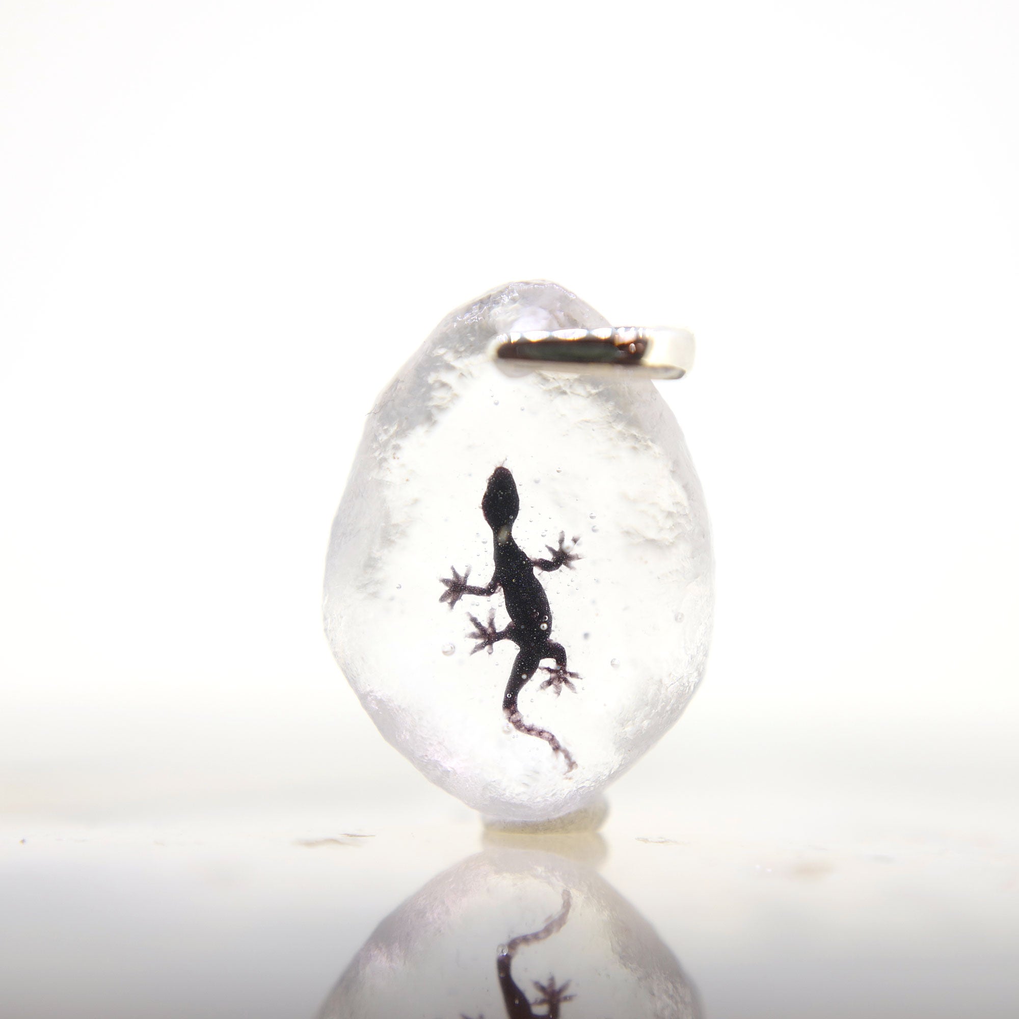 ニホンヤモリ（gecko021）