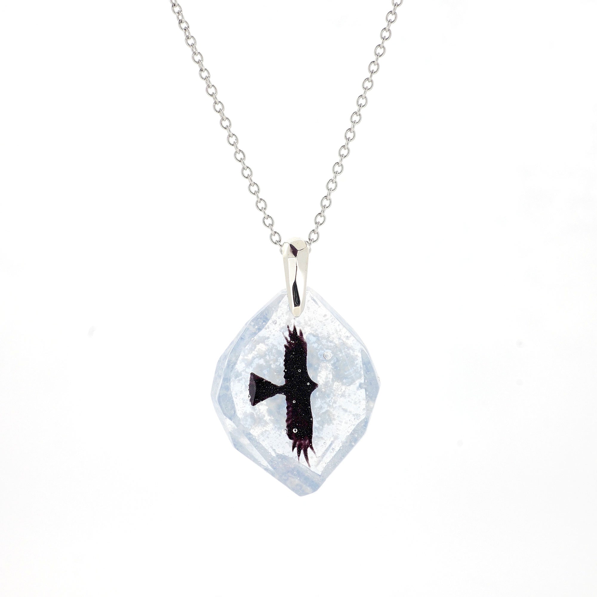 Hawk (hawk006)