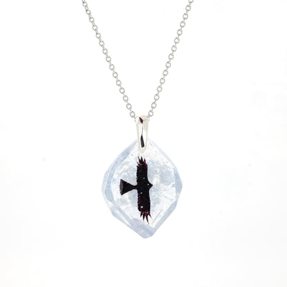 Hawk (hawk006)