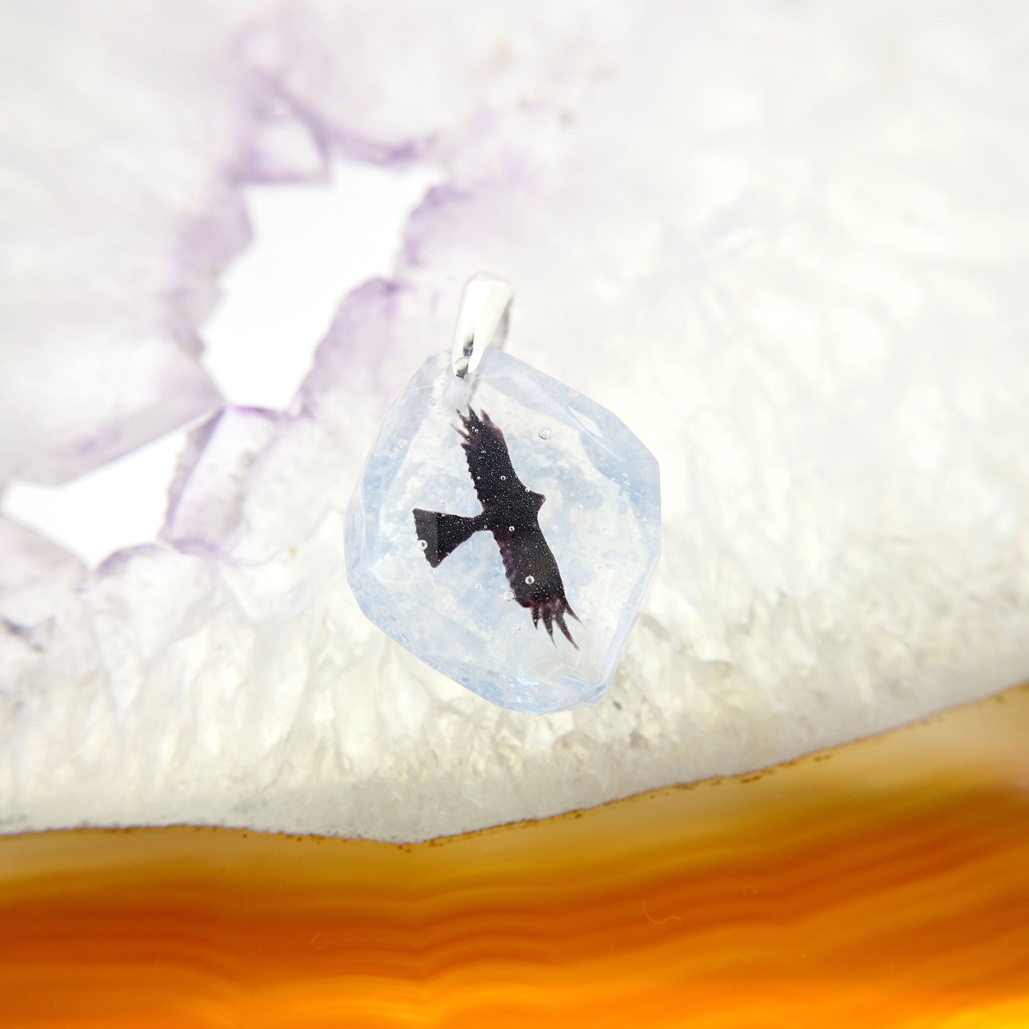 Hawk (hawk006)