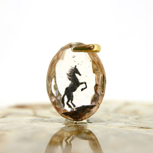 Black horse (horse038)