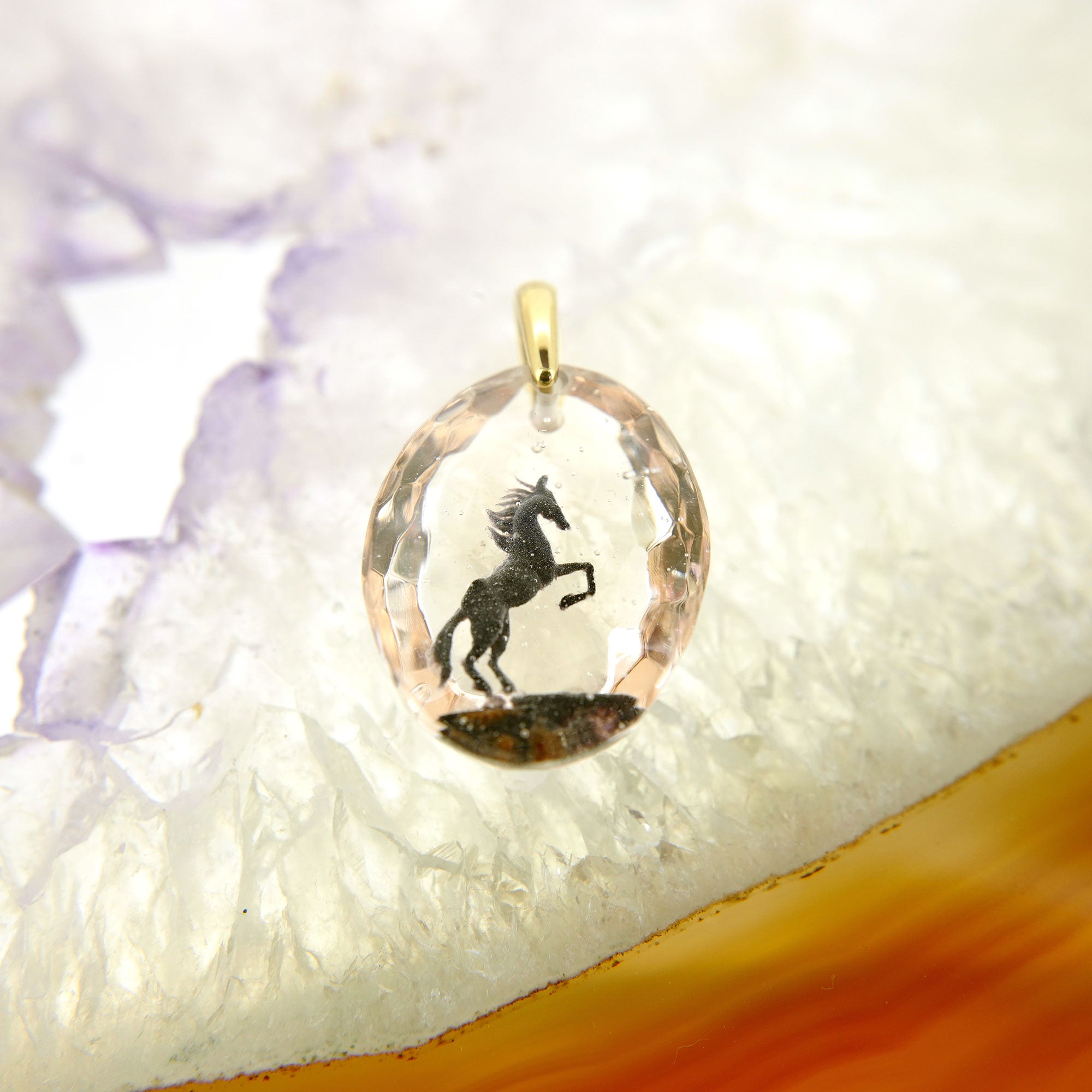 Black horse (horse038)