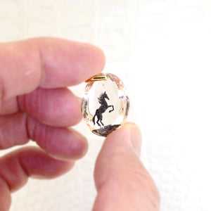 Black horse (horse038)
