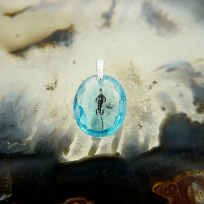 Marine iguana (iguana006)
