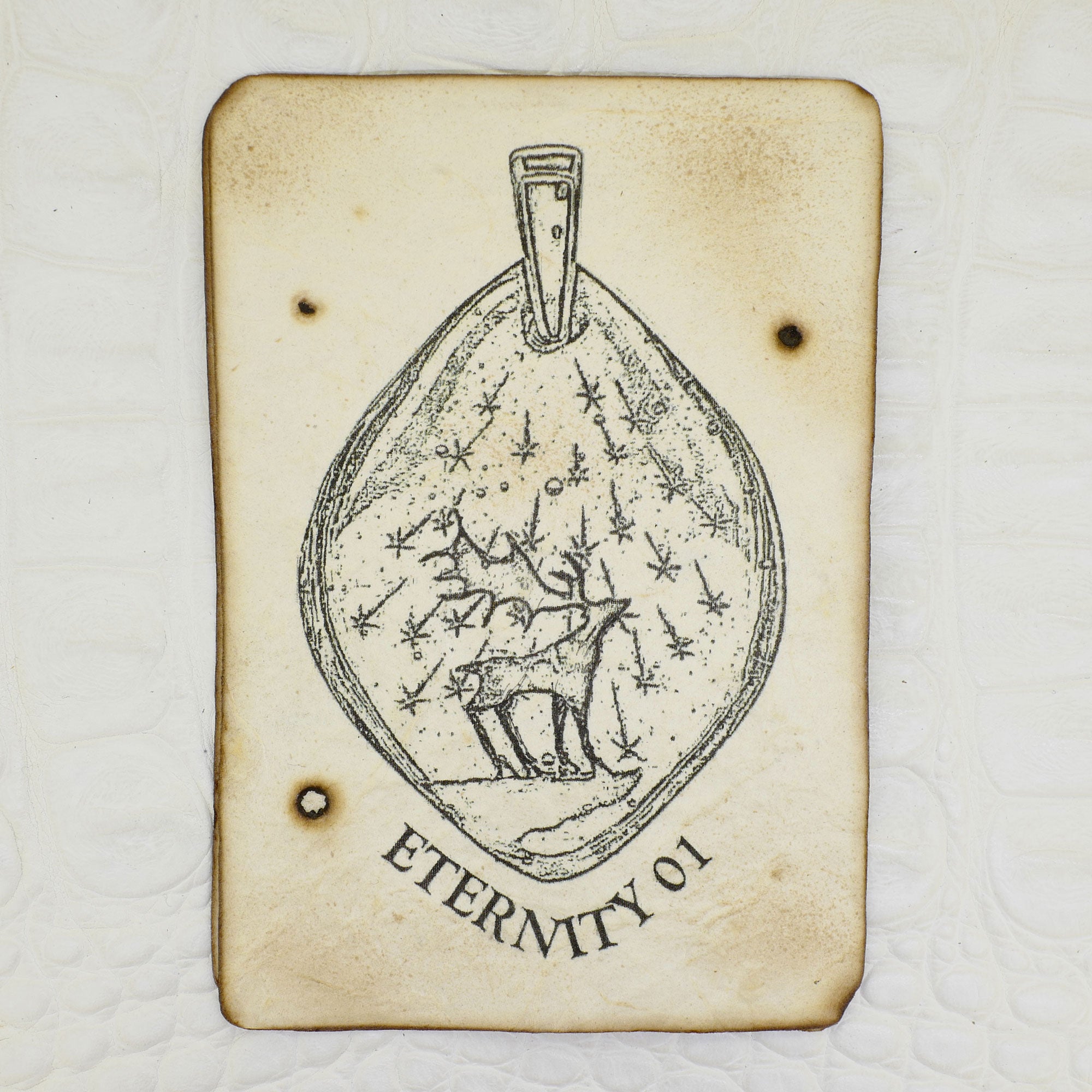 Natural history painting (illustration012)