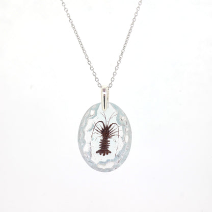 Lobster (lobster001)