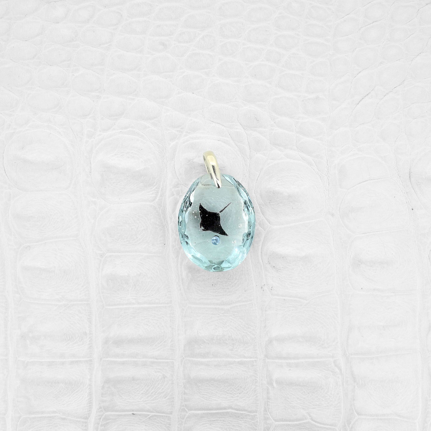 マンタ（manta081）