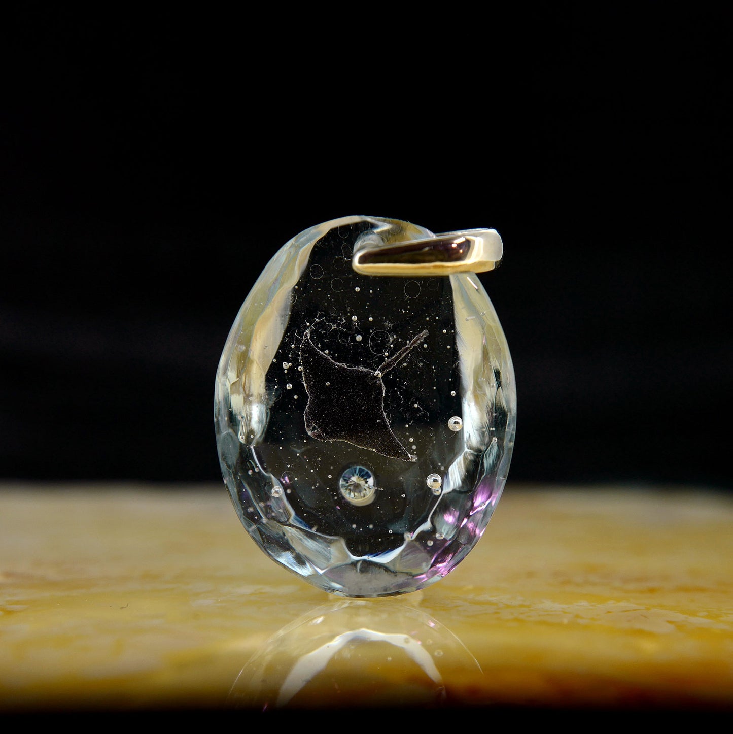 マンタ（manta081）