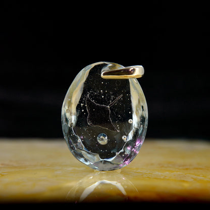 マンタ（manta081）