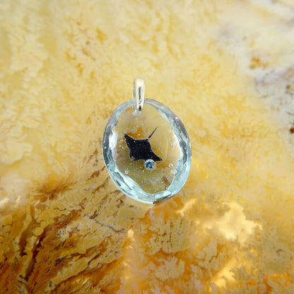 マンタ（manta081）