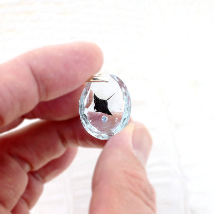 マンタ（manta081）