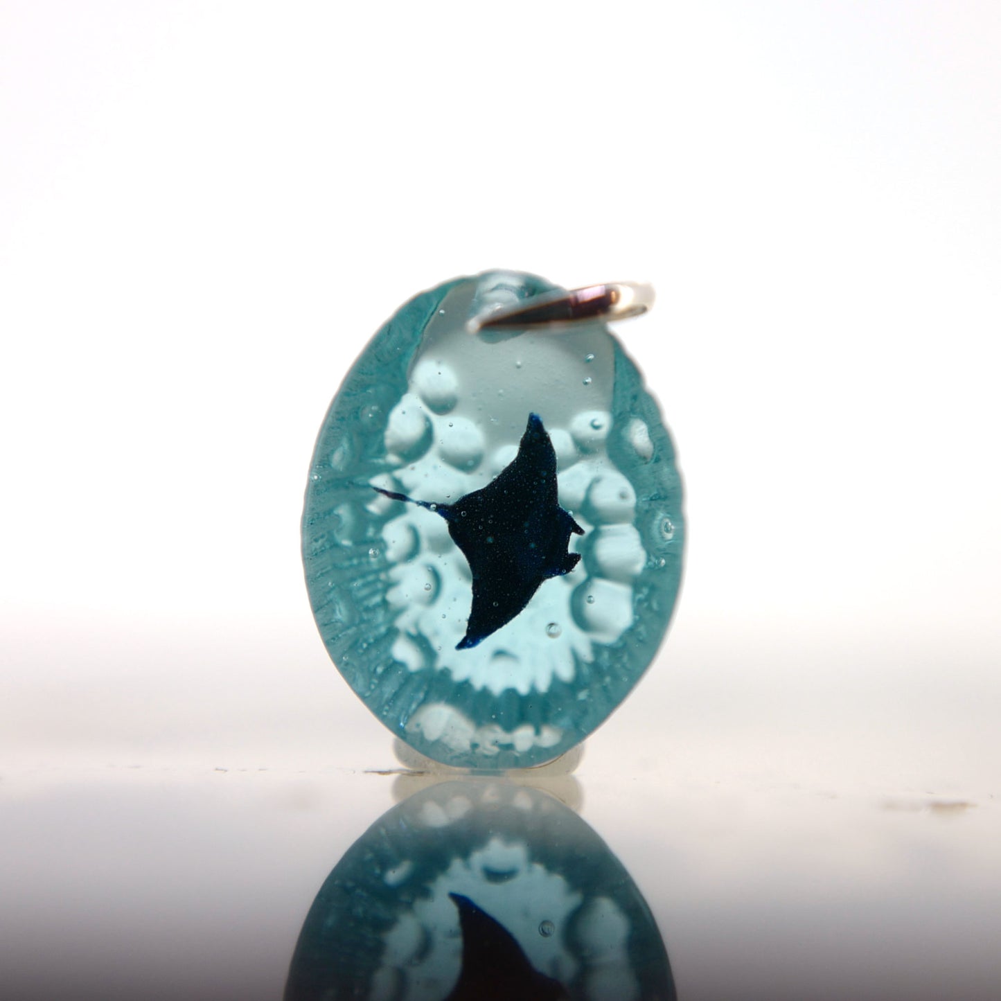 Manta (manta082)