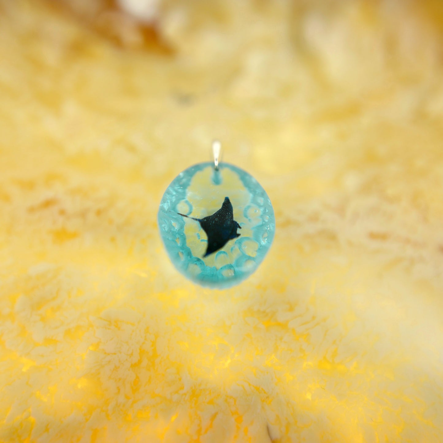 Manta (manta082)