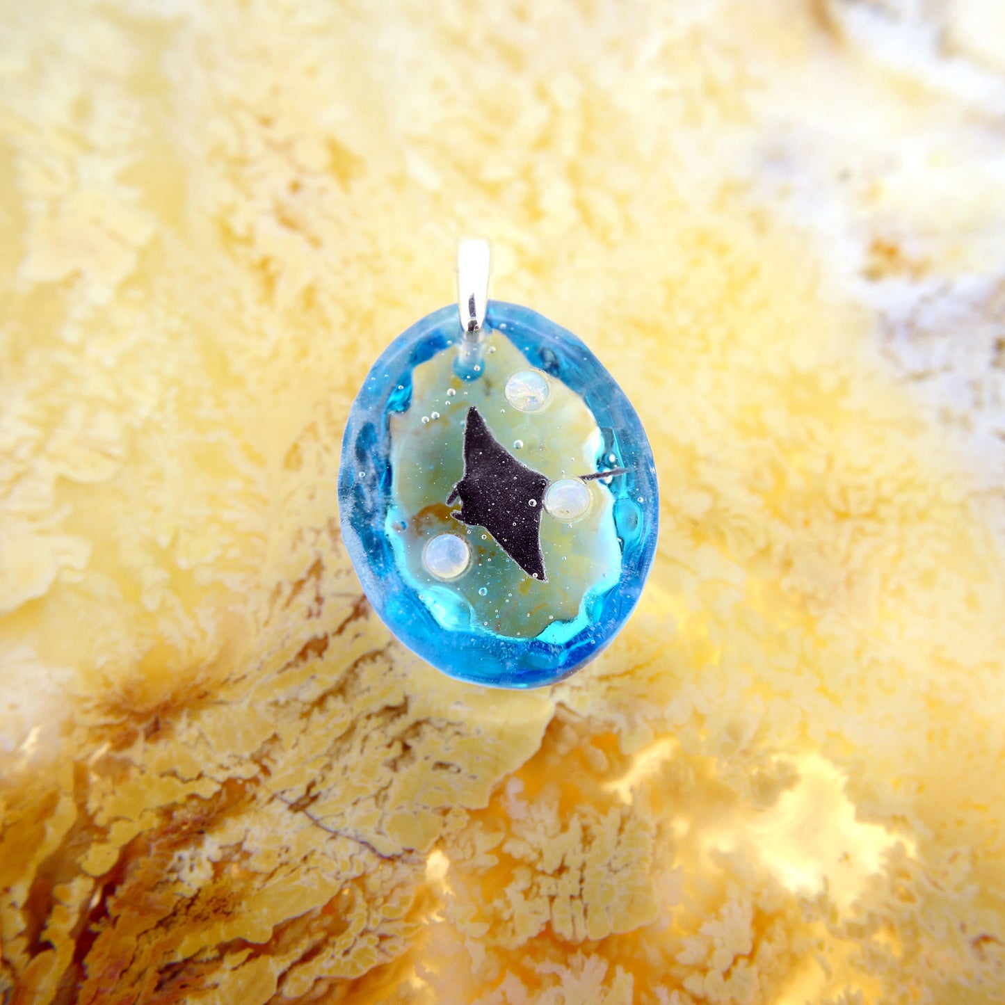 Manta (manta084)