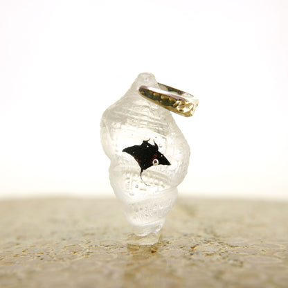 Manta (manta085)