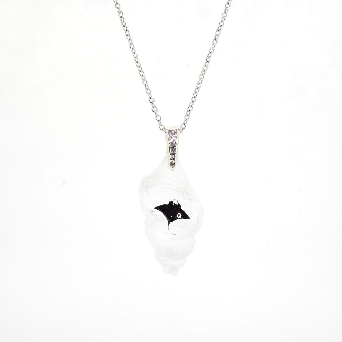 Manta (manta085)