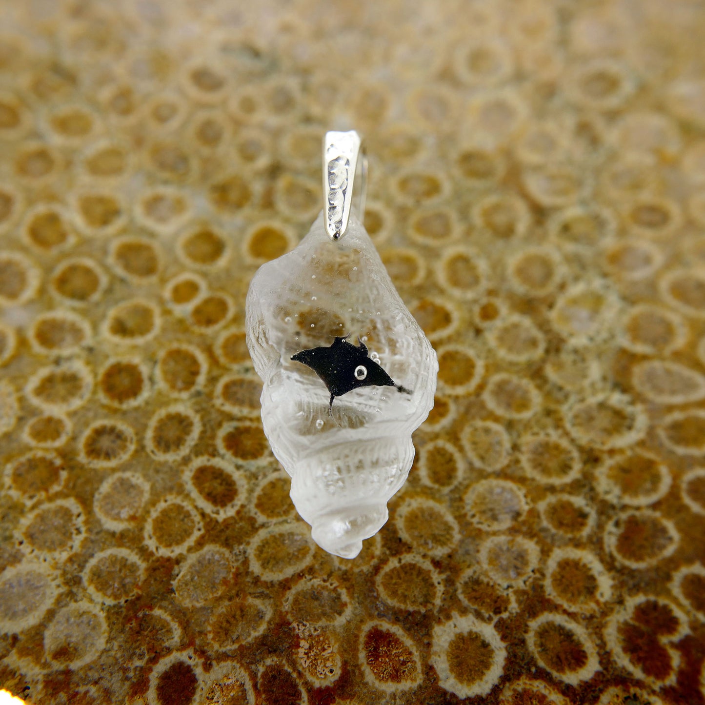 Manta (manta085)