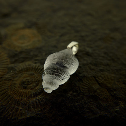 Manta (manta085)