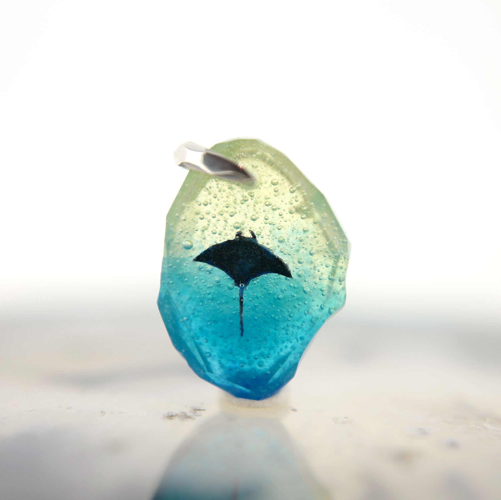 マンタ（manta086）