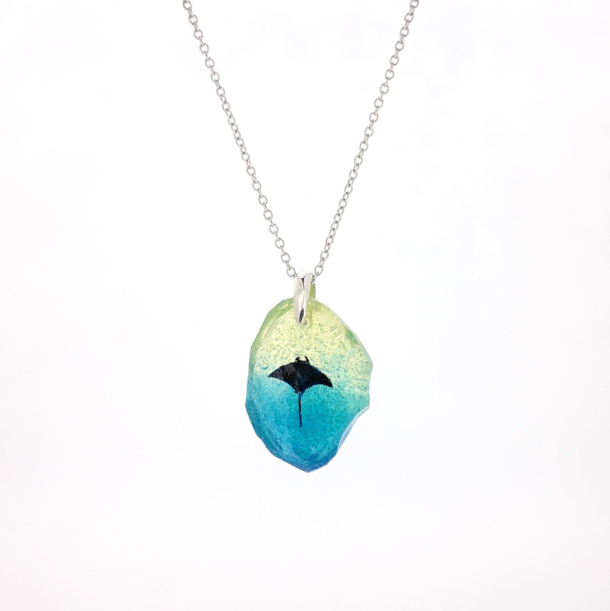 マンタ（manta086）