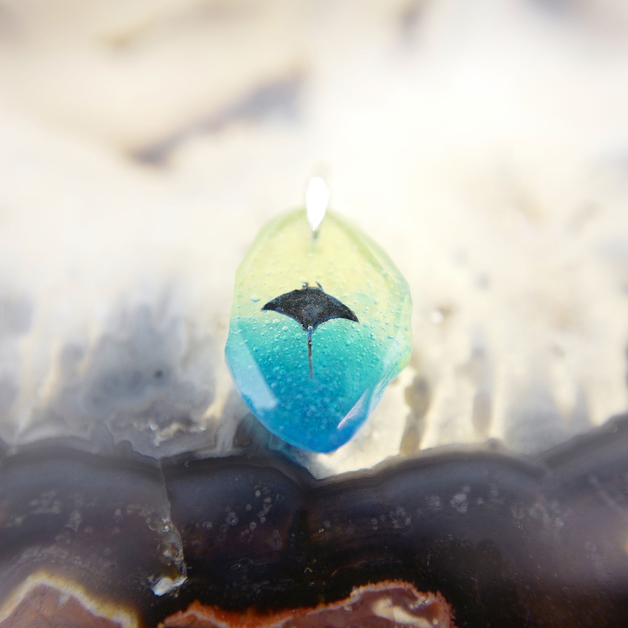 マンタ（manta086）