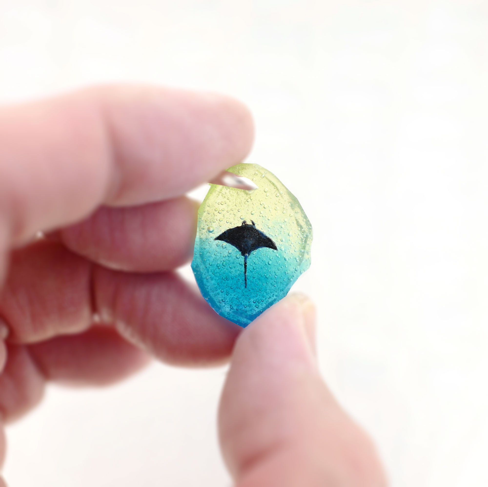 マンタ（manta086）