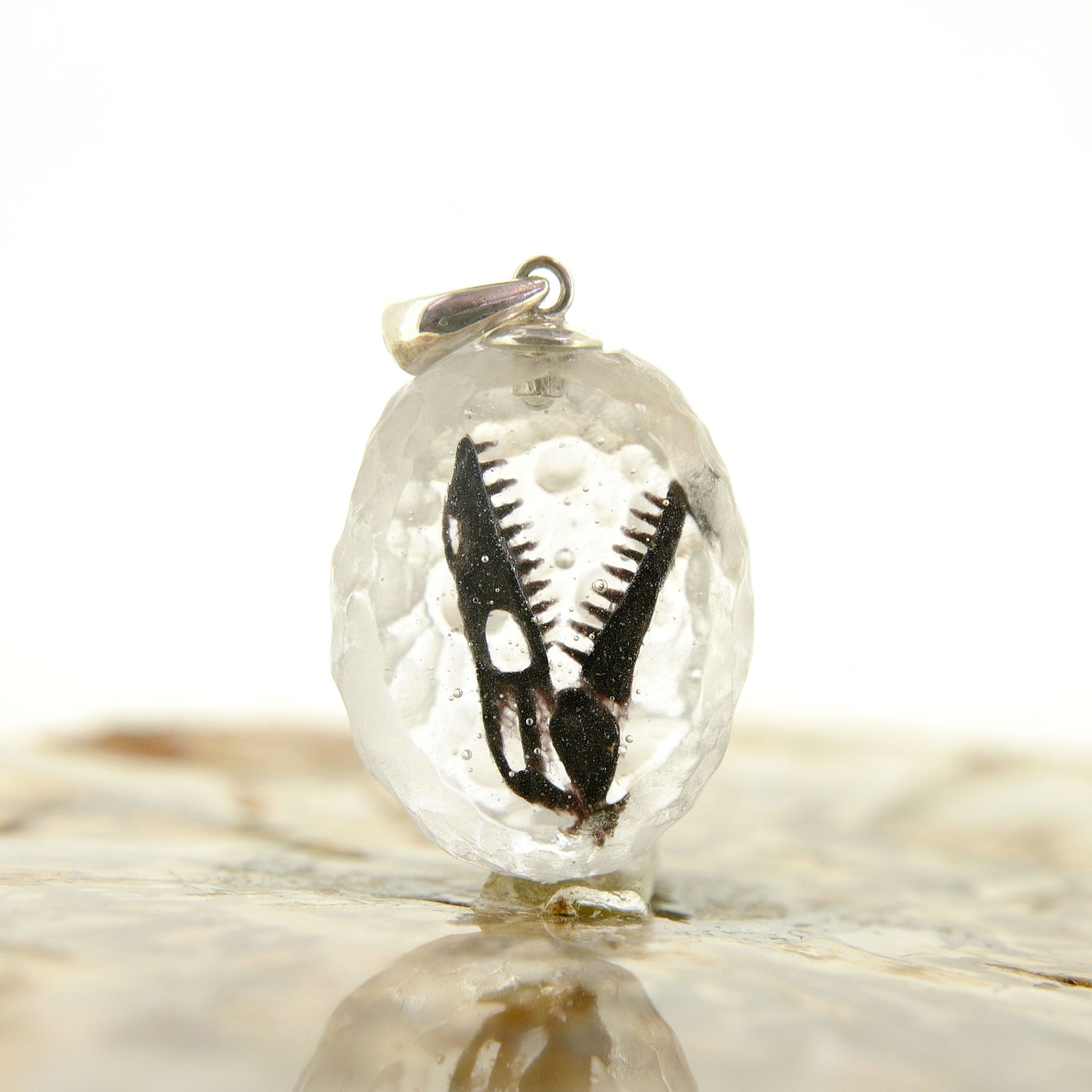 モササウルス（mosasaur003）