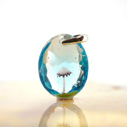Coprinus capita (mushroom008)