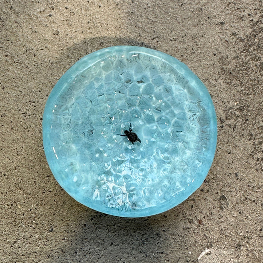 OCEAN PLATE（plate042）