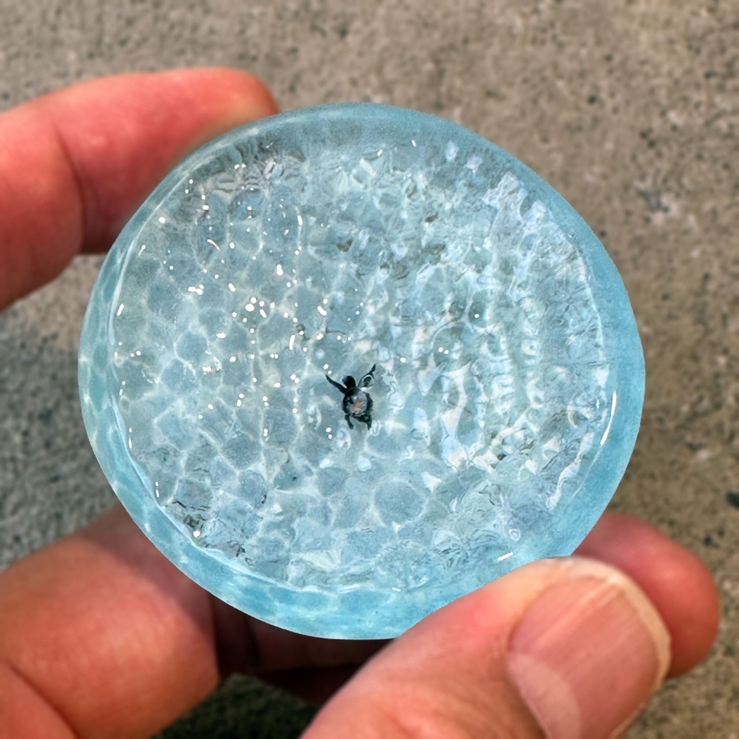 OCEAN PLATE（plate042）