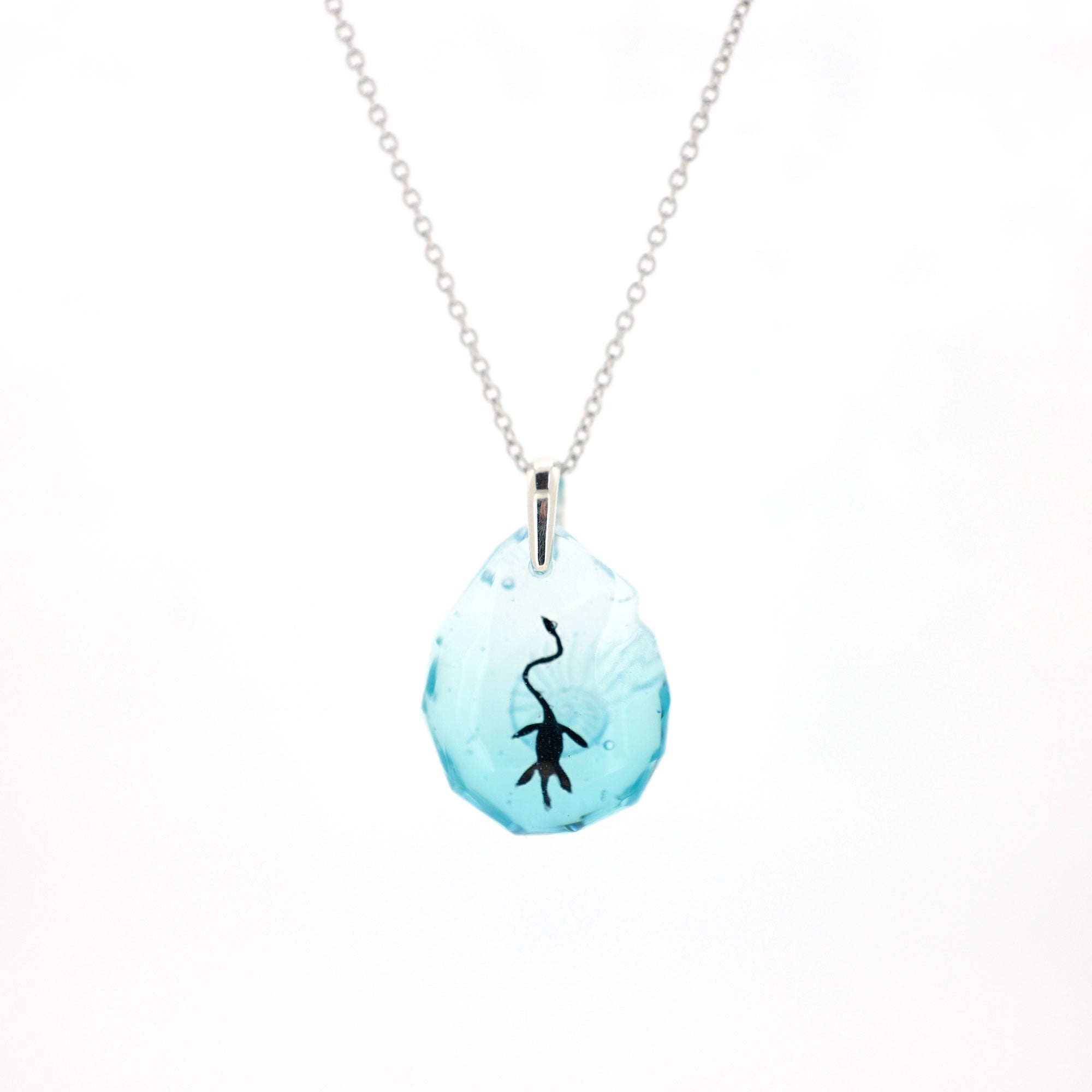 プレシオサウルス（plesiosaur015）