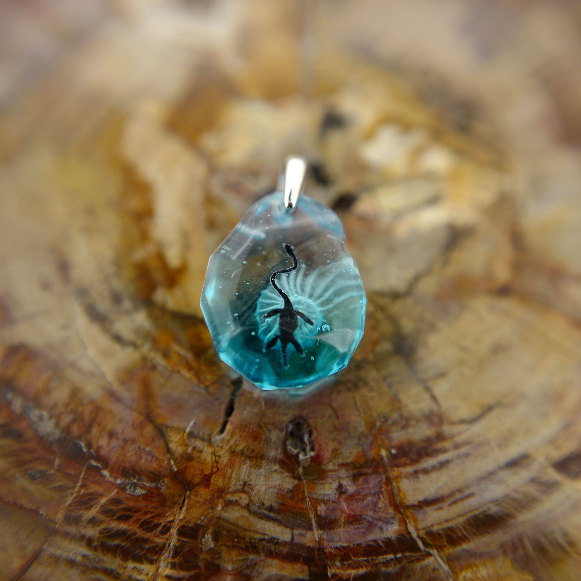 プレシオサウルス（plesiosaur015）