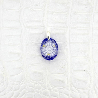 Amami Starry Sky Pufferfish (pufferfish001)
