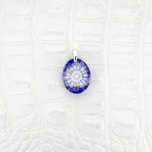 Amami Starry Sky Pufferfish (pufferfish001)