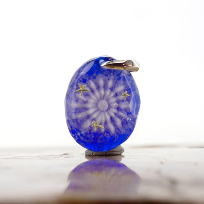 Amami Starry Sky Pufferfish (pufferfish001)