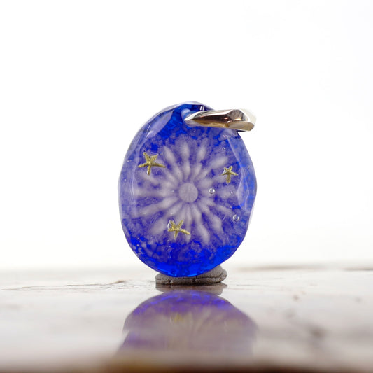 Amami Starry Sky Pufferfish (pufferfish001)