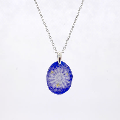 Amami Starry Sky Pufferfish (pufferfish001)