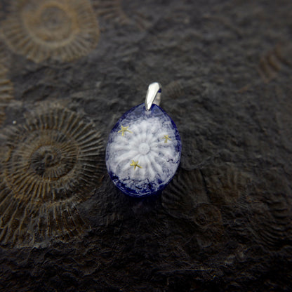 Amami Starry Sky Pufferfish (pufferfish001)