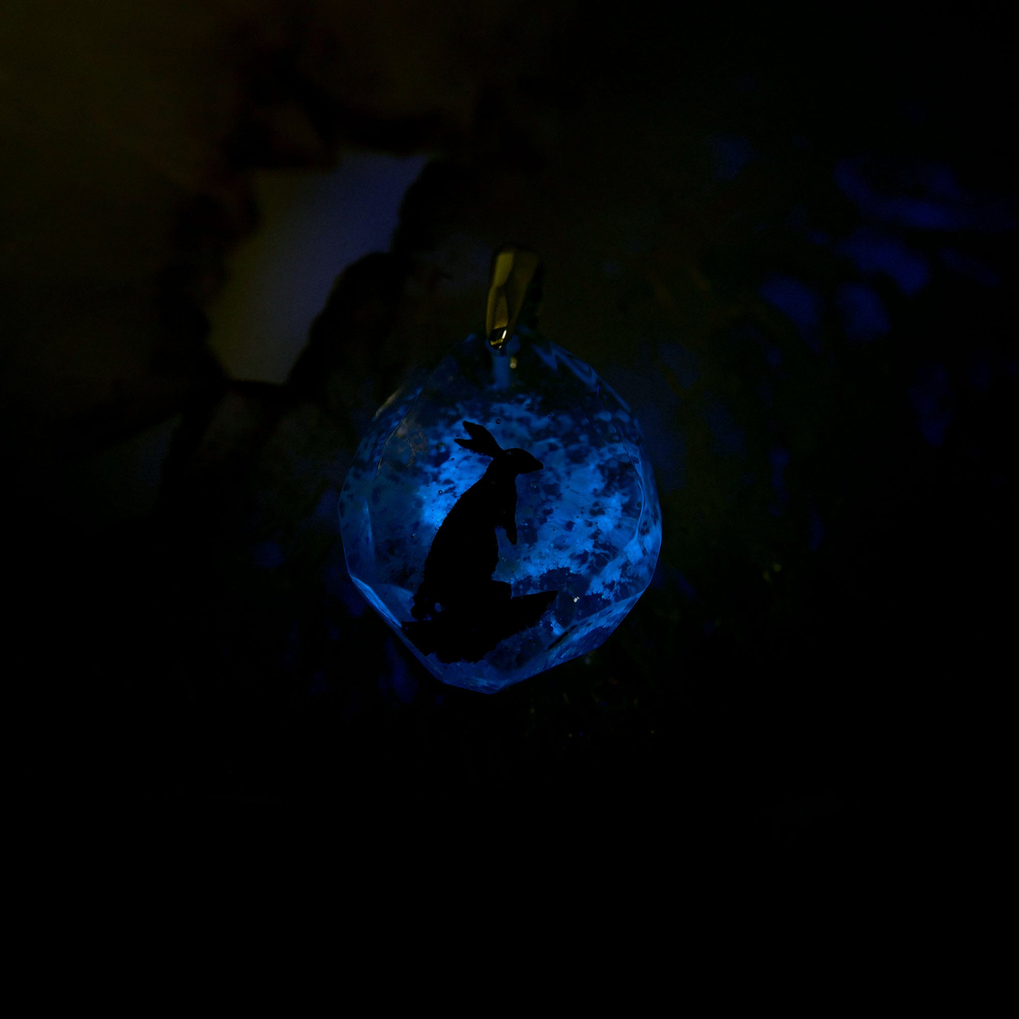 Rabbit (rabbit022)