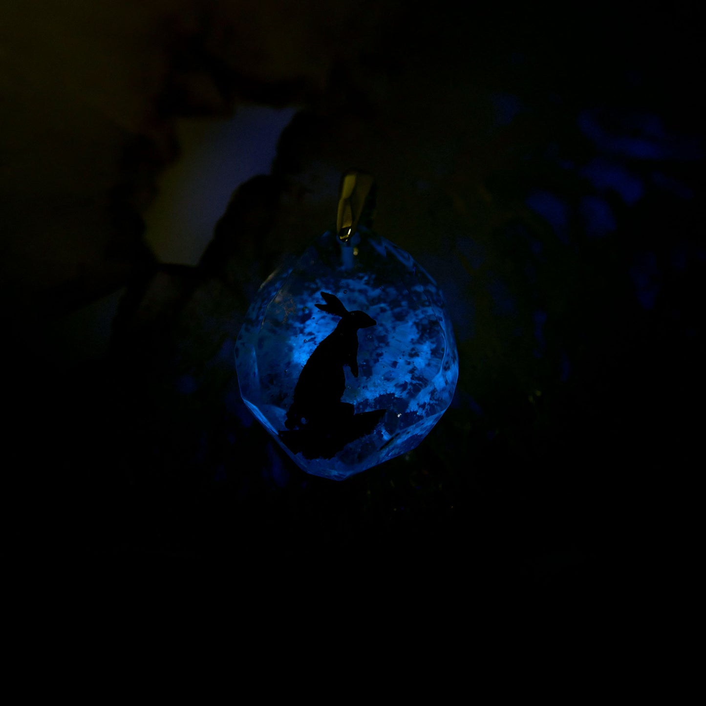 Rabbit (rabbit022)