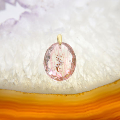 Pygmy Seahorse (seahorse025)
