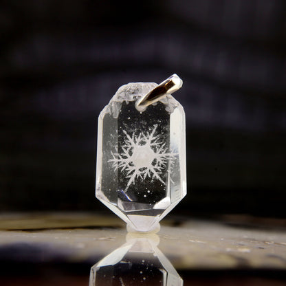 Snowflake (snow206)