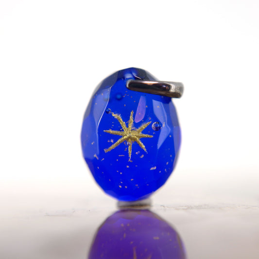 Ichibanboshi (star157)