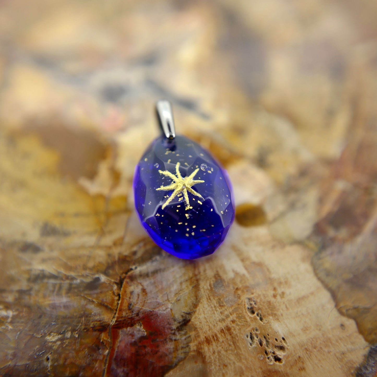 Ichibanboshi (star157)
