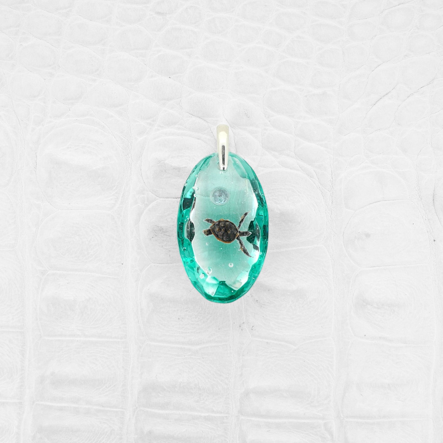 Green sea turtle (turtle186)