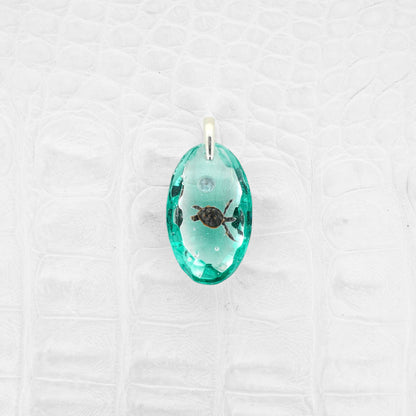 Green sea turtle (turtle186)
